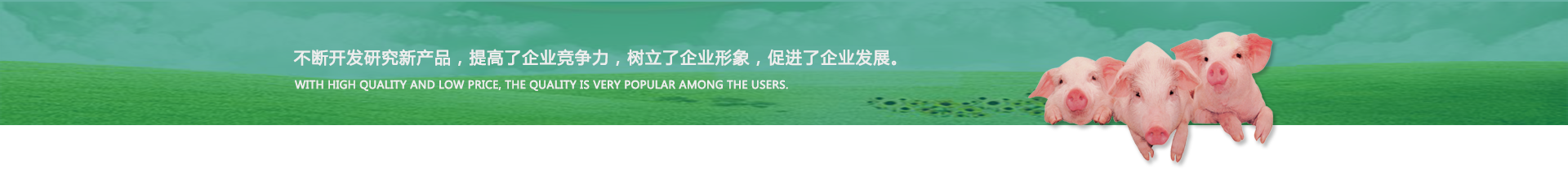 黄色成人葡萄视频,不鏽鋼料槽